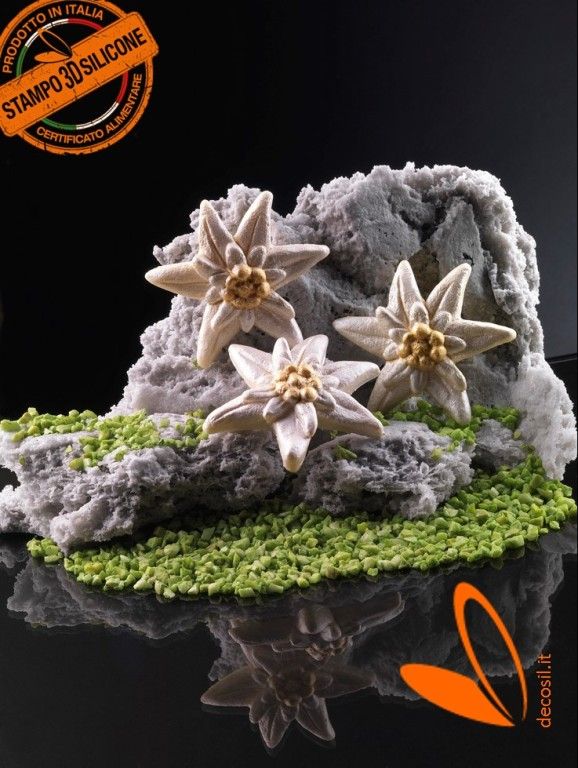 Edelweiss mold