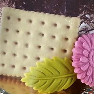 GOLD Biscuits mold