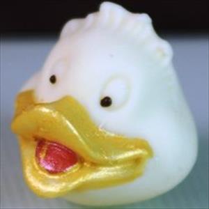 Duck Snout mold