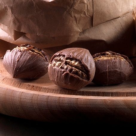 Roast Chestnut mold Roast Chestnut mold