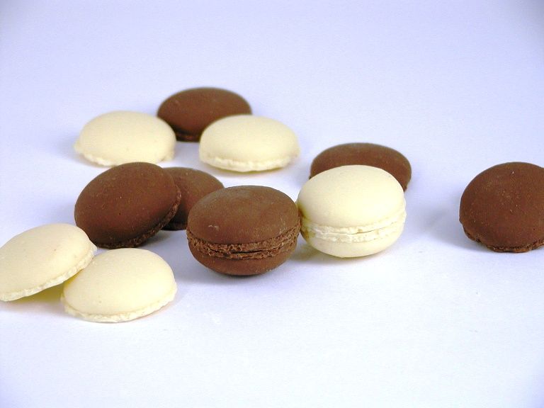 French Macarons mold