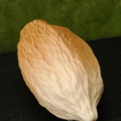 Big Cocoa Fruit Mold