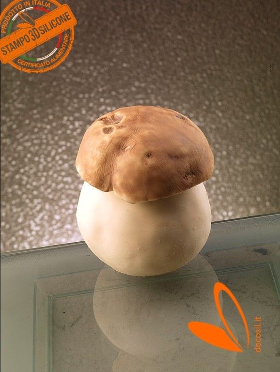 Boletus Mushroom mold