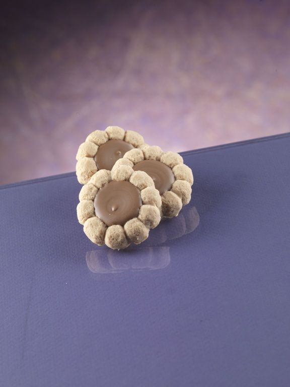 FLOWER Biscuits mold