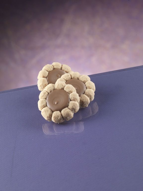 FLOWER Biscuits mold FLOWER Biscuits mold
