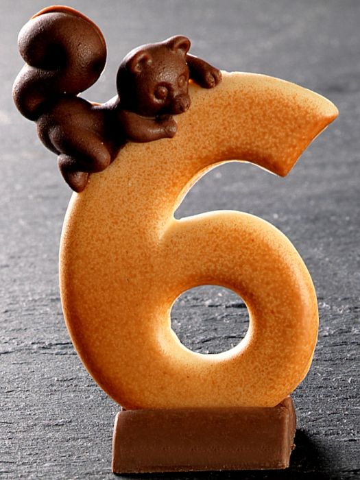 Number 6 Squirrel mold