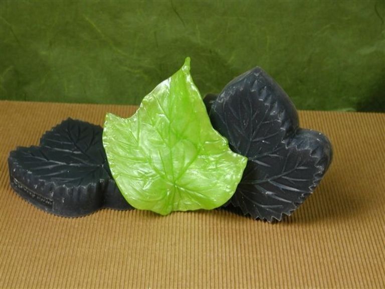 GrapeVine Leaves mold