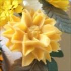 Dahlia mold