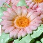 Daisies big and small Mold