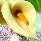 Calla flower-shaped 3D silicone mold