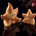 Starfish Mold