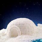 Igloo Half-Sphere LINEAGUCIO Mold