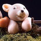 Mouse Snout mold