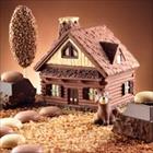 Mountain Lodge Mold