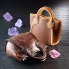 Woman Rigid Handbag mold