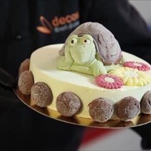Turtle Turbo Mold