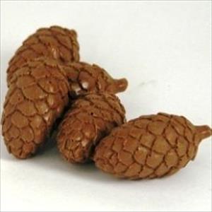 Pinecones Mold