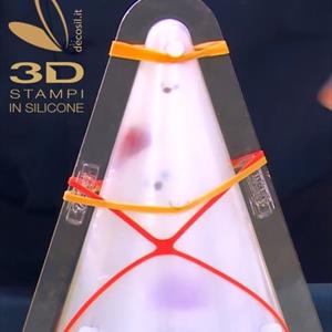 LINEAGUSCIO Thermoformed Pine Mold