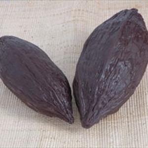 Medium Cocoa Fruit Mold