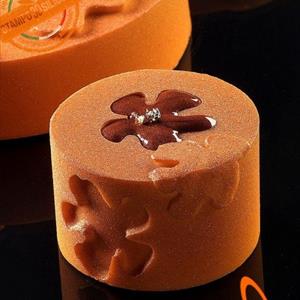 Small Negative Stains molds
