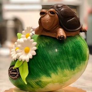 Turtle Turbo Mold