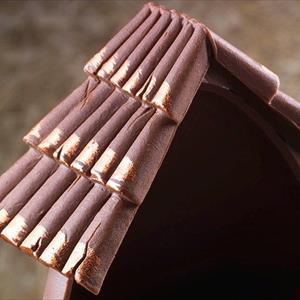 Roof and Fence mold