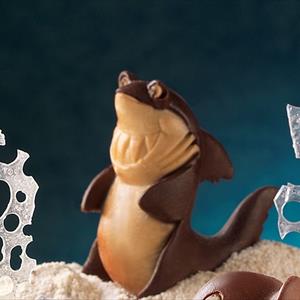 Shark mold