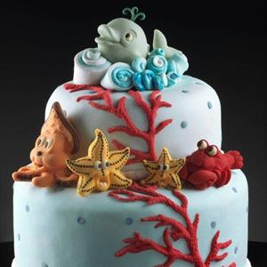 Cuttlefish mold