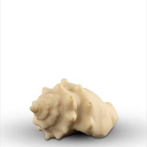 Strombus Alatus shell mold