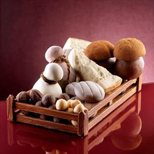 Parmigiano or Grana Padano Italian Cheese mold