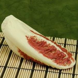 Red chicory - Radicchio mold