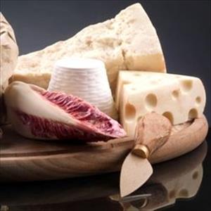 Red chicory - Radicchio mold