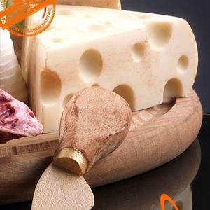 Emmenthal mold