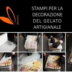 Fiordilatte Ice Cream Tablet mold