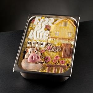 Fiordilatte Ice Cream Tablet mold