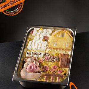 Fiordilatte Ice Cream Tablet mold