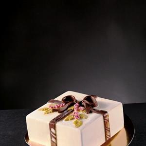 Holly Bow Square Ice Cream Cake mold
