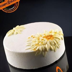 Spring Ice Cream Cake mold