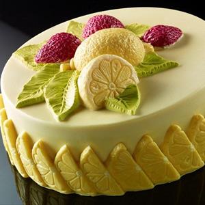 Strawberry Lemon Ice Cream Cake mold