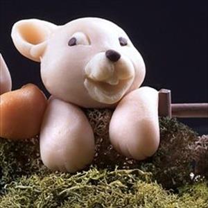 Mouse Snout mold