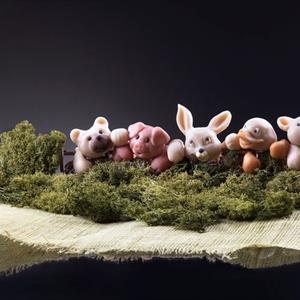 Mouse Snout mold