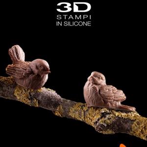Small Winter Birds Mold