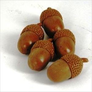 Acorns Mold