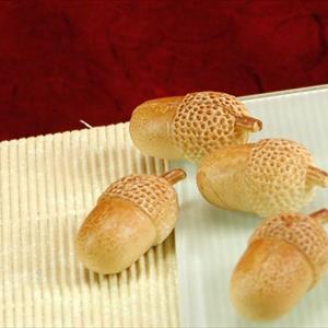 Acorns Mold
