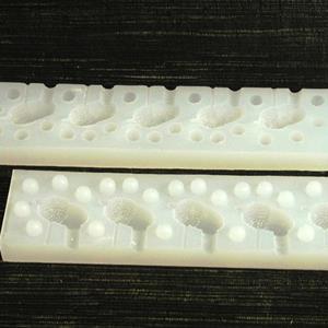 Acorns Mold