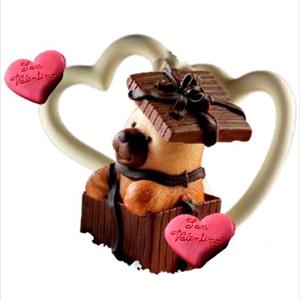 Surprise Package with Teddy Bear Mold