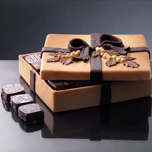 Square Box Christmas chocolate mold