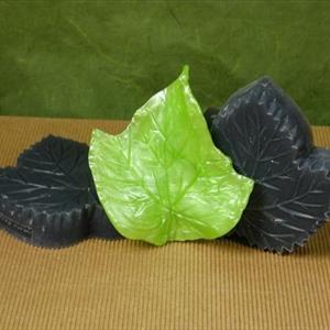GrapeVine Leaves mold