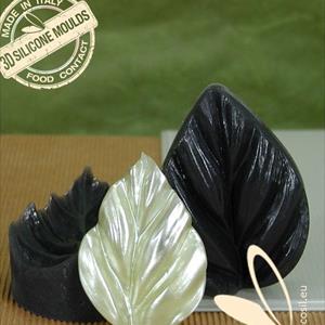 Leaf N mold