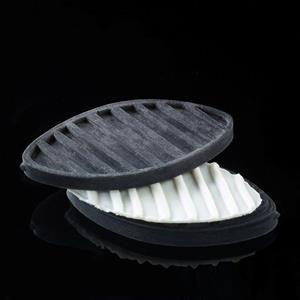 Leaf with Stripes mold